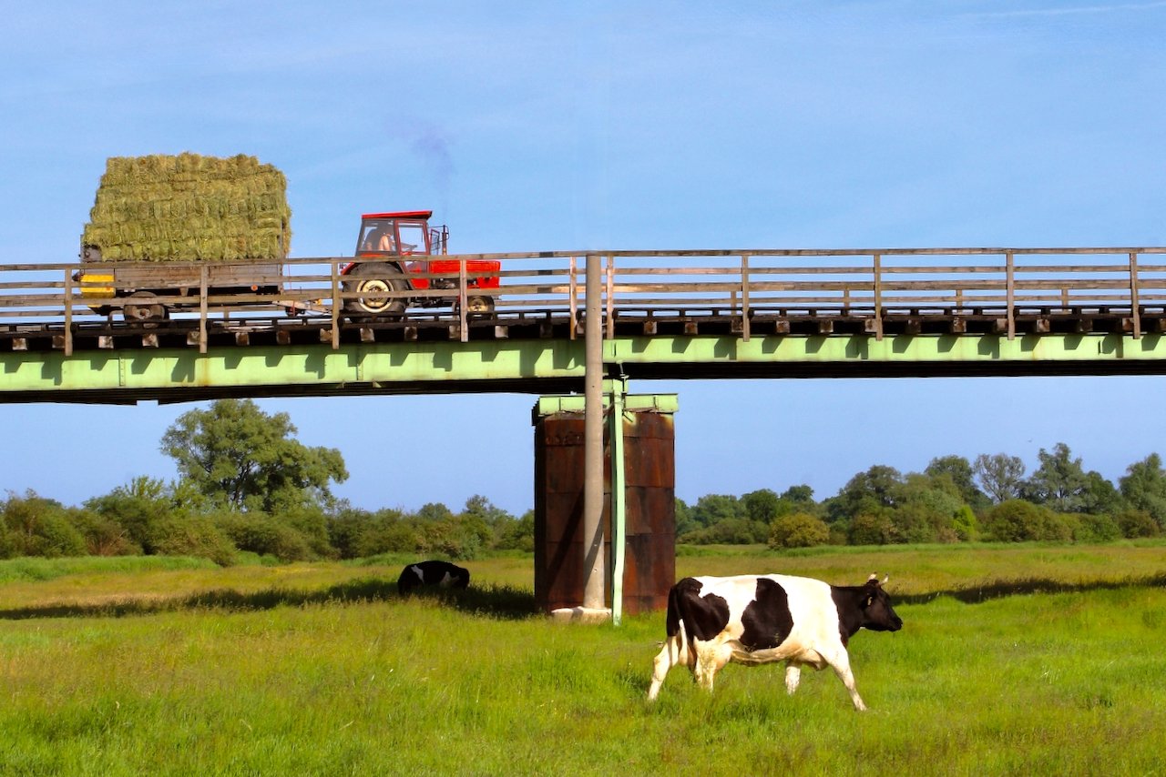 Ein Traktor fährt mit einer Ladung Heu über eine Brücke.