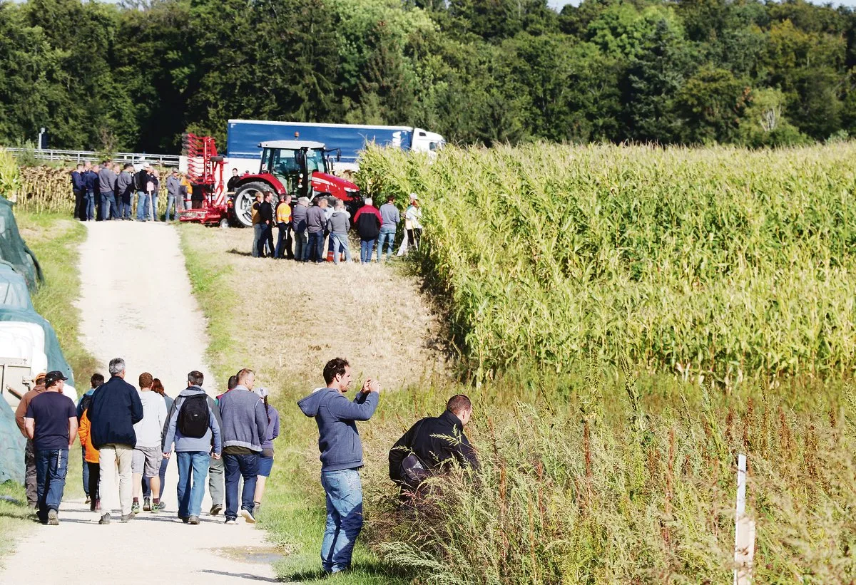 607ae3d2decb851e02a2b1e51f81f918c6e03a6d Viele Pflanzenbauer wollten wissen, wie die Kulturen bei Patrik Huber nach dem wüchsigen Sommer aussehen. (Bild Ruth Aerni)
