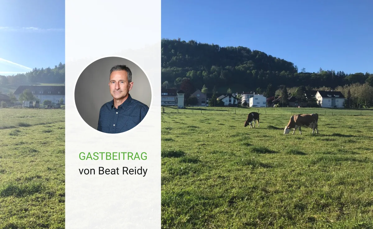 gastbeitrag-reidy-36 Intensiv genutzte Wiesen leiden mehr als artenreiche Bestände