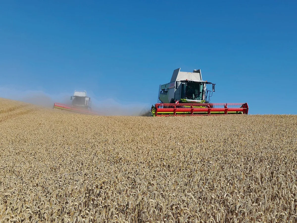 bb556a727c3a29f5ede961535cce6736595c54b6ae8ae82a9388c7493c842c02 Claas führte zwei neue Lexion-Montana-Modelle mit Fahrwerkshangausgleich vor.