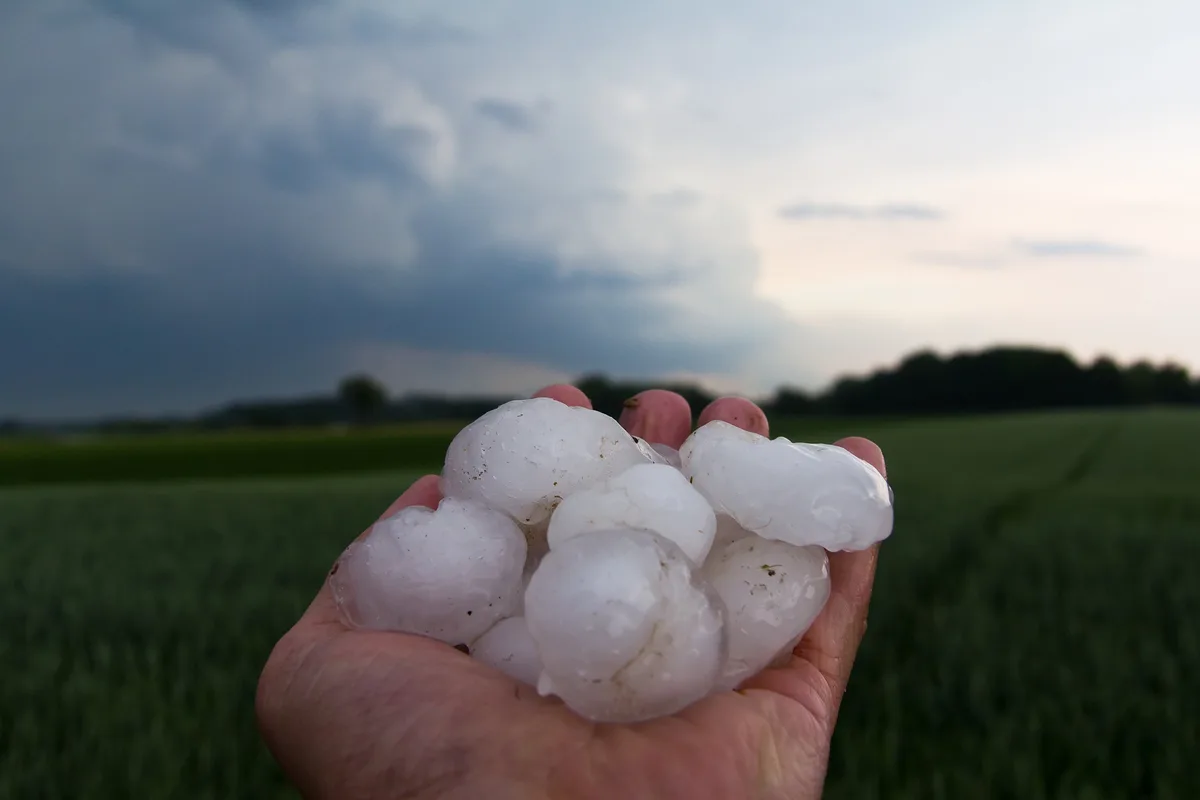 Die Unwetter und damit deren Folgen vielen sehr unterschiedlich aus. Gebietsweise gab es sehr grosse Hagelkörner. (Symbolbild DerTobiSturmjagd / Pixabay)