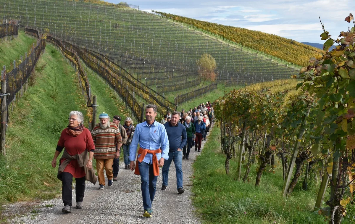 OS-42-E-Bioetico-Rundgang-stue Der Inspirationstag von «BioEtico» fand im Rebberg statt