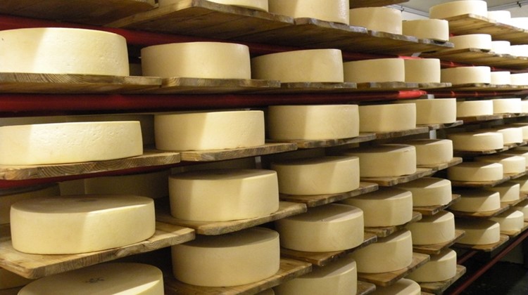 Die Preissumme für den besten Alpkäse ist dieses Jahr 18'000 Franken. (Bild Olma)