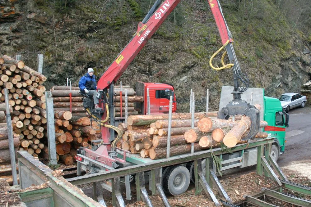 Das Energieholz bleibt gefragt. Die Holzschnitzel- und Stückholzpreise bleiben stabil, die Preise für Holzpellets sind gestiegen. (Bild: zVg)