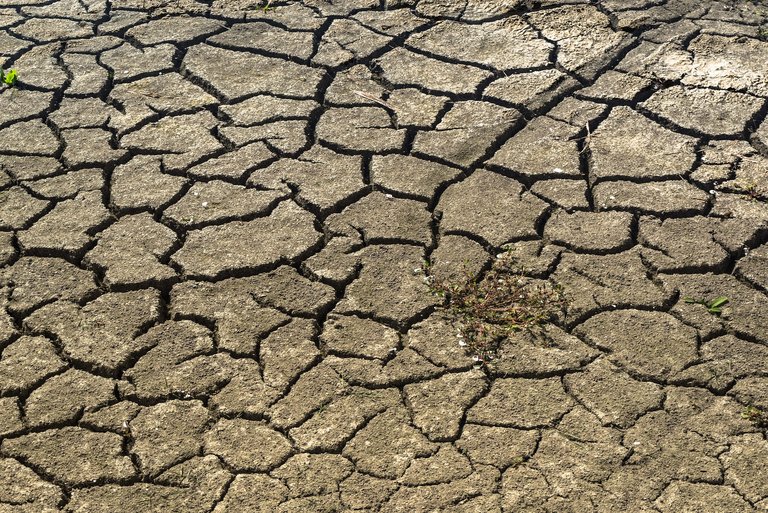 Konflikte und Dürre bedrohen verschiedene Regionen Afrikas. (Bild zVg)