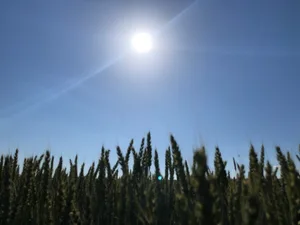 Die Sonne brennt vom wolkenlosen Himmel und lässt Wasser aus nackten Böden schnell verdunsten.