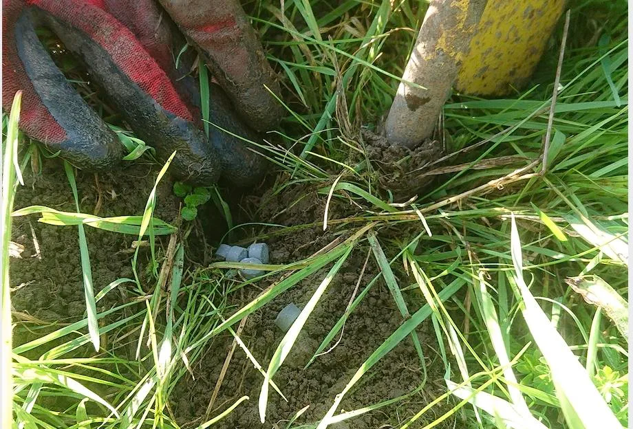 Einsatz von «Cobra forte» im Wiesland. (Bilder Marco Odermatt)