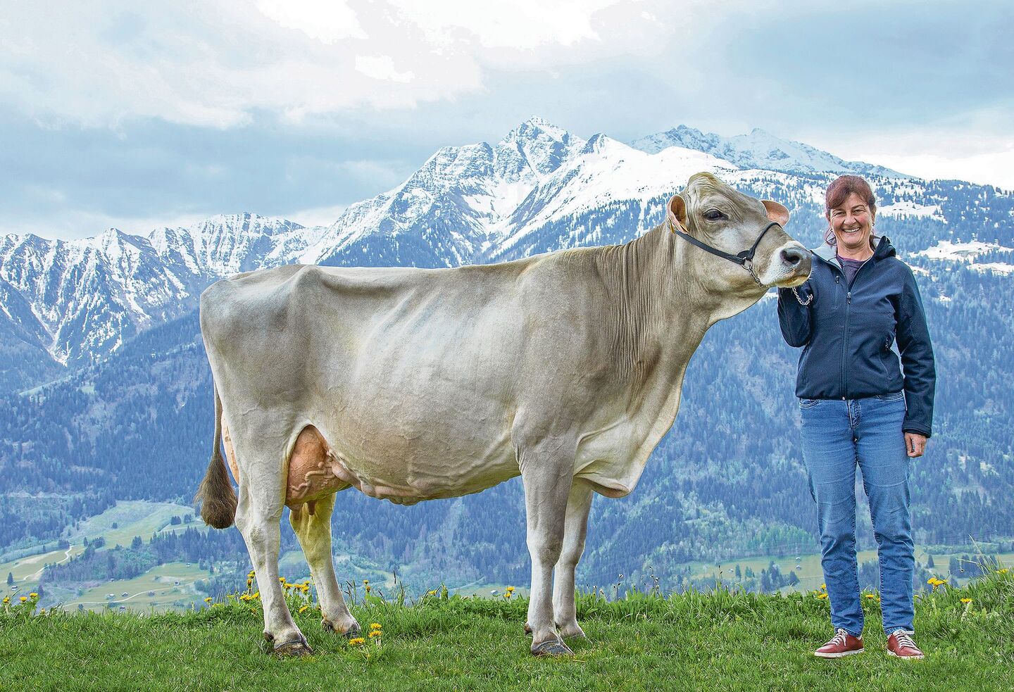 Topleistung und Langlebigkeit: Die 12-jährige Jongleur Elisa (derzeit bei 110 000 kg Milch) mit  Besitzerin Andrea Arpagaus, gezüchtet vom 2019 verstorbenen Adrian Arpagaus.