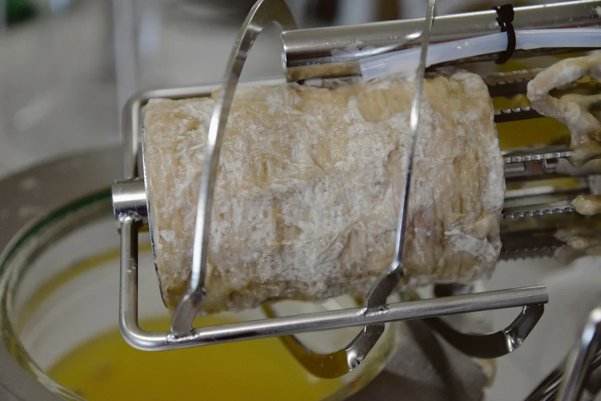 47d779104adfd1cdea6e42ba13b5a7c9e67054f6 Ein pilzlicher Biofilm wächst auf der luftdurchlässigen Membran, die im Biofilmreaktor eingebaut ist.(Bild Michael Studer)