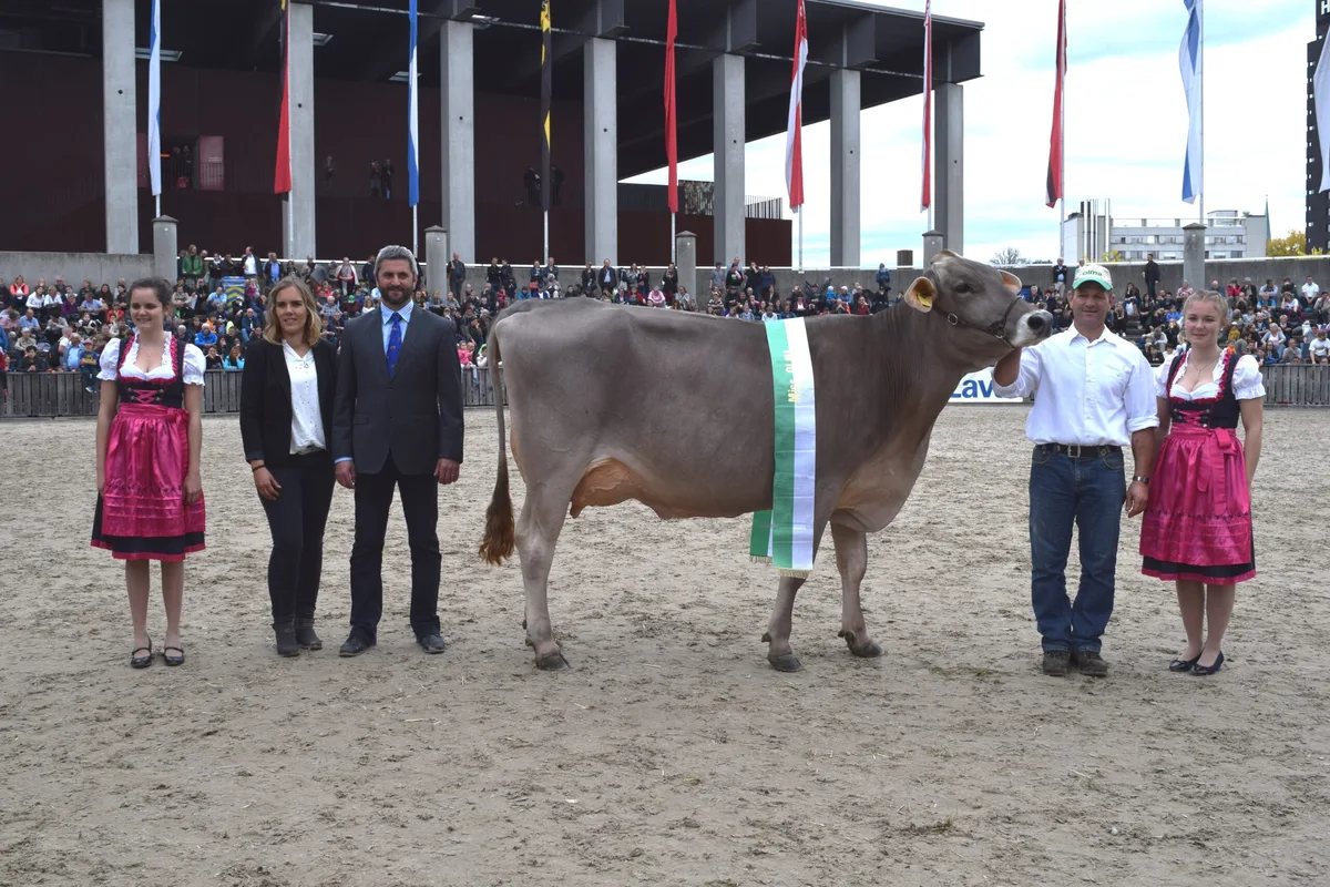 776073504cc8280eb33ae285f3ee9b766e1b265a Für Silvana, Miss Olma beim Braunvieh 2019, wird an der Vier-Rasse-Eliteschau eine Nachfolgerin gesucht. (Bild Stefanie Giger)