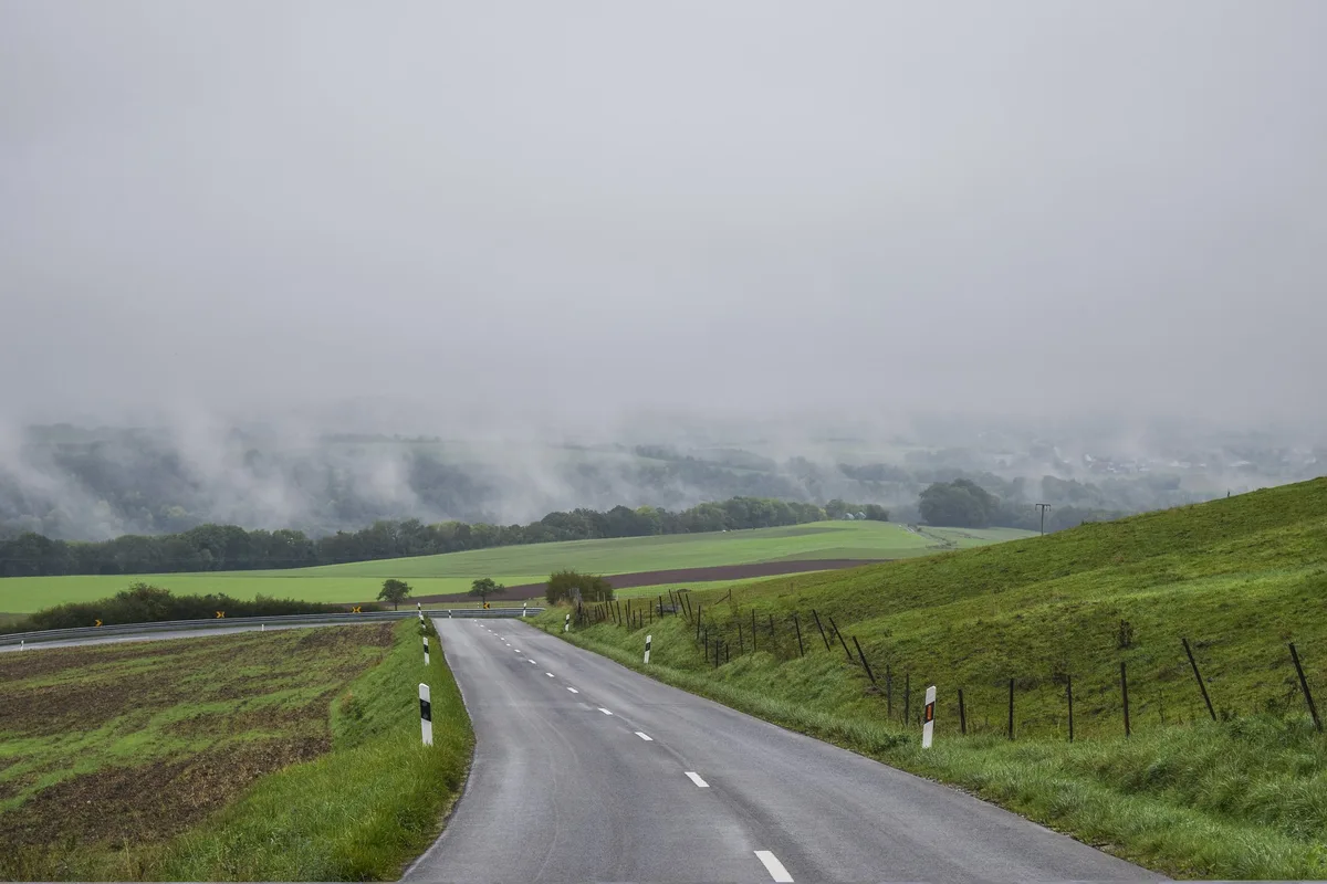 landschaft_strasse_michael_gaida Wolf im Kanton Obwalden von Auto überfahren