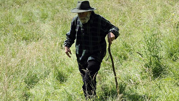 Das Durchschnittsalter der finnischen Landwirte lag nach Angaben des LUKE-Instituts 2019 wie schon im Vorjahr bei 53 Jahren. (Bild agrar-press)
