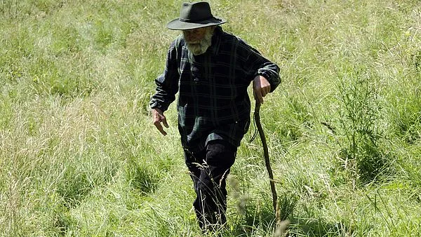 Das Durchschnittsalter der finnischen Landwirte lag nach Angaben des LUKE-Instituts 2019 wie schon im Vorjahr bei 53 Jahren. (Bild agrar-press)