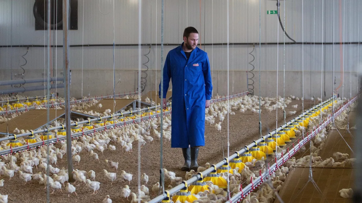 e19cb62d7842ef7198c8cd14f10c2e0c9d3d3aab Die Pouletmast war für Mathias Leuenberger Neuland, aber nach anderhalb Jahren ist er überzeugt von dem Betriebszweig. (Bilder Pia Neuenschwander)