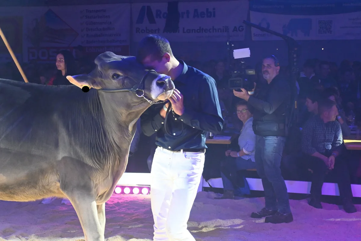 DSC_4410 Champion-Tochter Three-S Hank Vegas holt den Sieg