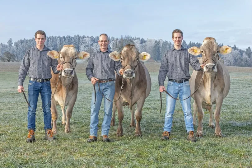 Bild_1_Familie_Amrein_in_Gunzwil Der Muni ist schuld, dass bei der Familie Amrein-Müller drei 100 000er-Kühe im Stall stehen