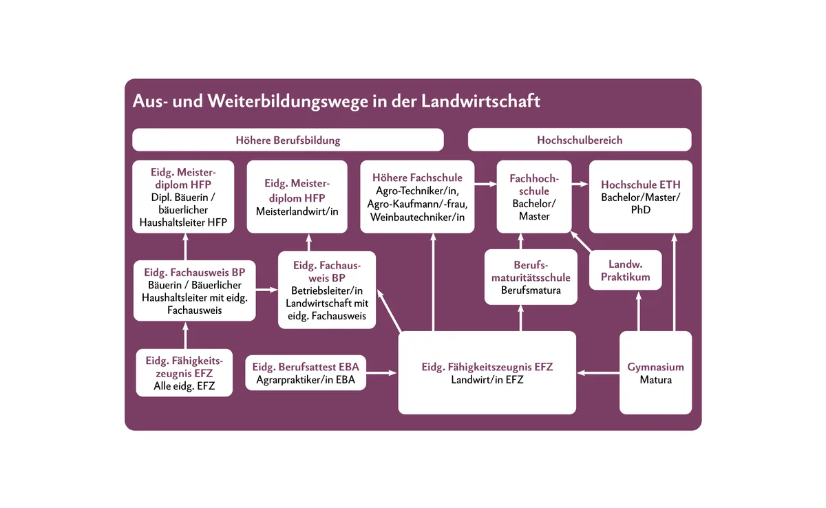 DG03-Grafiken2 Die Wege in der Landwirtschaft sind vielfältig. Die weiteren Ausbildungswege ab Landwirt/in EFZ können auch mit den Abschlüssen Weinfachmann/-frau EFZ, Gemüsegärtner/in EFZ und Obstfachfrau/-mann EFZ absolviert werden.