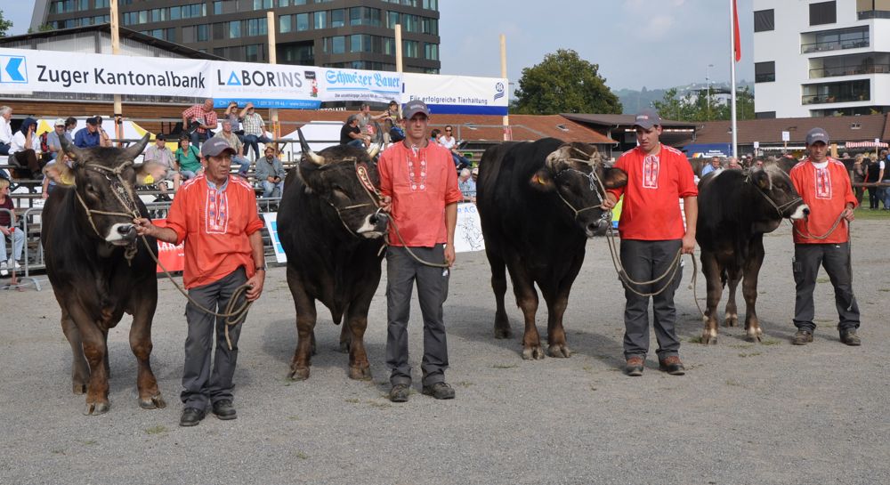 Die Siegerstiere (v. l. n. r.): Monarch Lord, Lorenz Zöttel, Julen Pinocio und Fantastic Fan. (Bild: Rolf Bleisch)