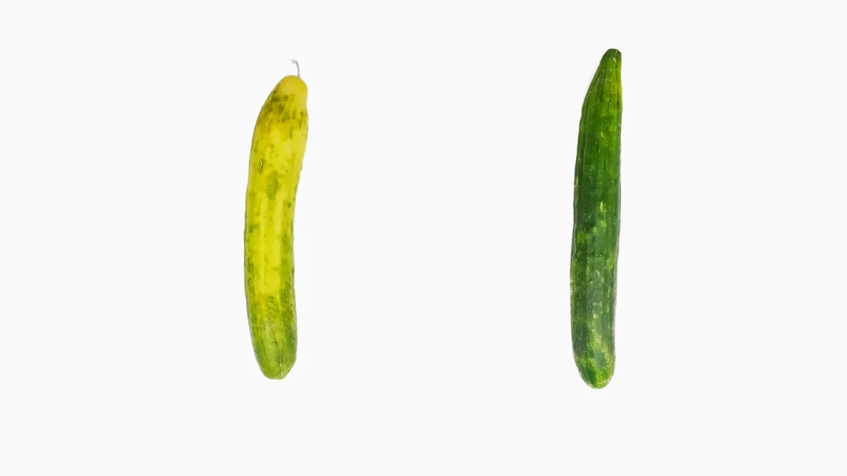 Eine neue und nachhaltige Verpackung soll künftig Obst und Gemüse schützen