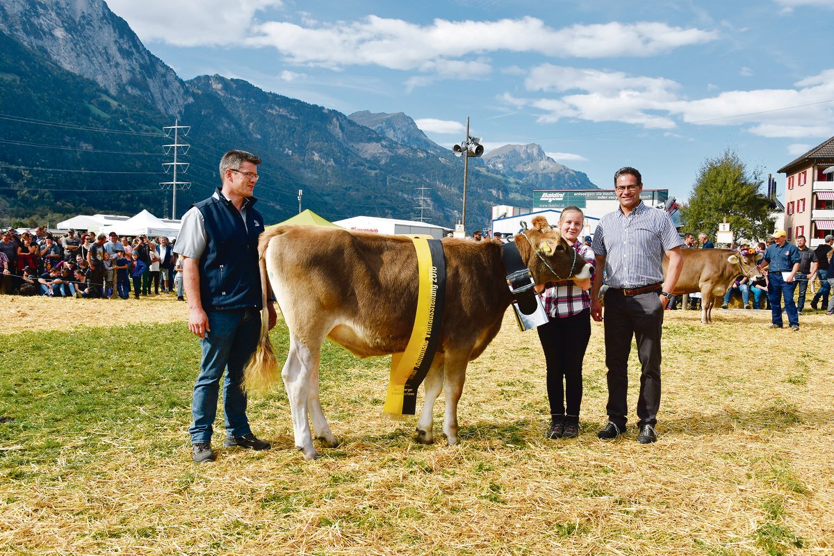 Eine gute Vorbereitung ist eine gezielte Investition: Im Bild die Rinderchampionne an der Urner Kantonalen Viehausstellung 2018.(Bild Vieh aus der Zentralschweiz)