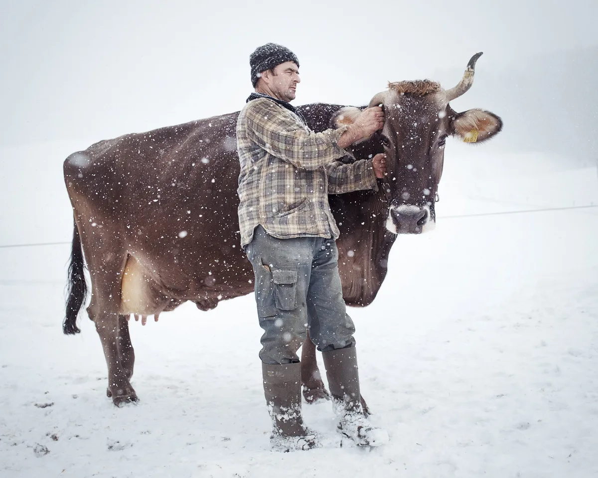 0536c7ddacc003de461a7193284ac8107ad5474c Einige Bilder aus «Via Lactea»: Ein Bauer mit seiner Kuh im Schnee in Schlatt-Haslen AI. (Bilder Alfio Tommasini)
