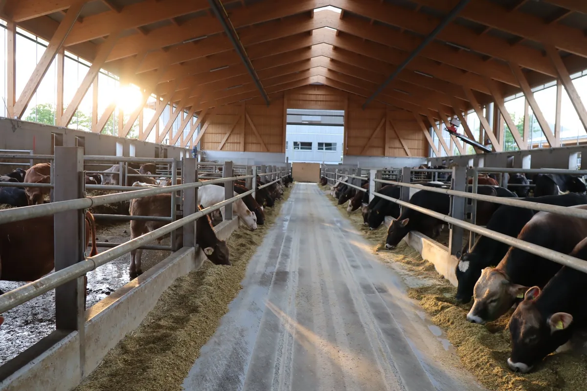 OS_21_C_Digitalisierung_Munistall «Digitalisierung könnte der Berglandwirtschaft körperliche Entlastung bringen»