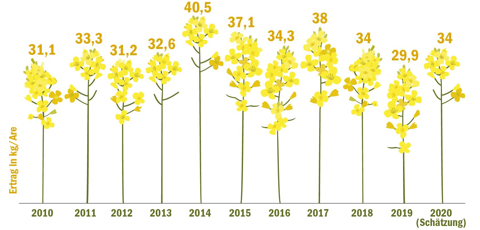 Der grösste Teil der Rapsernte ist eingefahren. Mit geschätzten 34 kg Ertrag je Are könnte die Ernte besser ausfallen als im vergangenen Jahr. (Grafik BauZ, Quelle Umfrage BauZ)