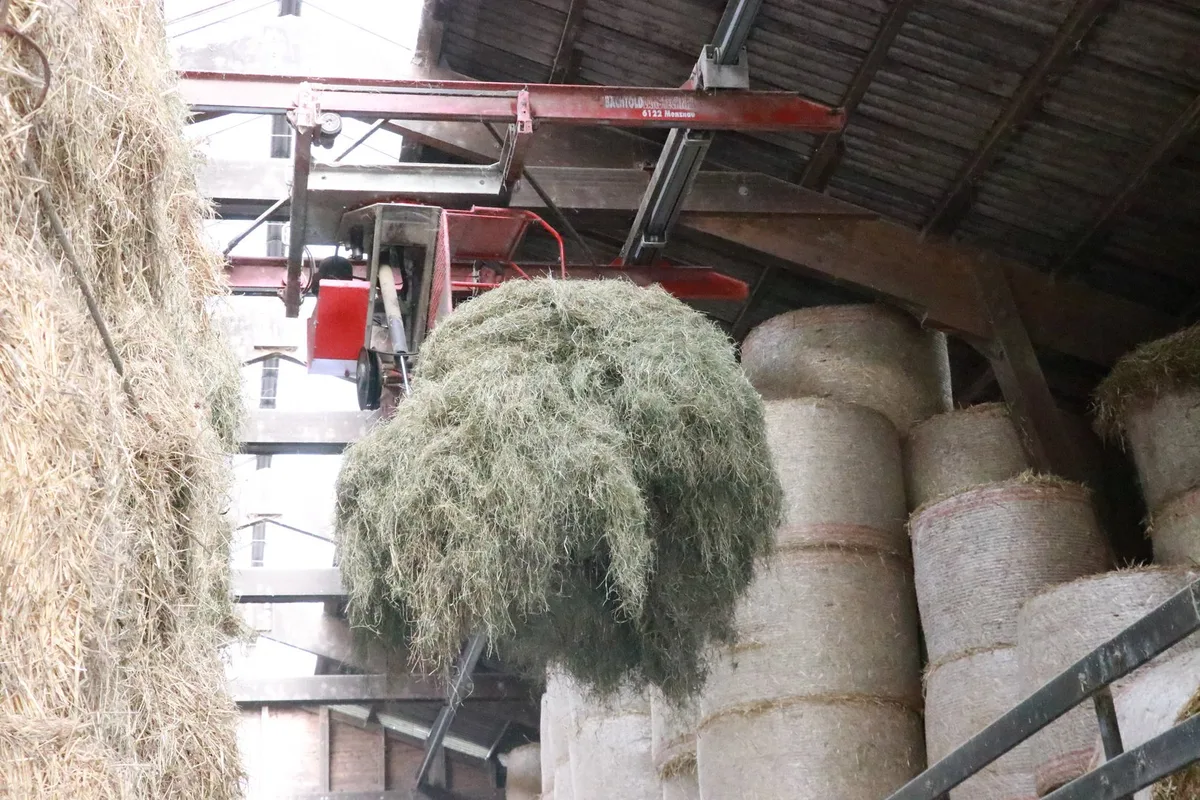 Manche Heubühne leert sich bereits – Zwischenbilanz auf dem Raufuttermarkt
