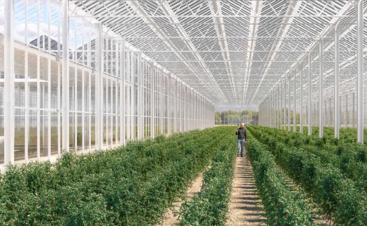 Erste Solarmodule verbaut, die sich ans Gewächshaus anpassen lassen
