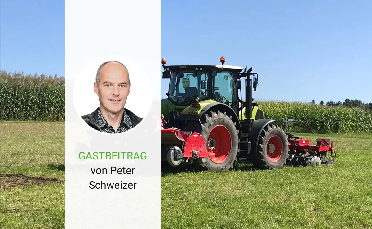 Artikel_Gastbeitrag_BauZ_Schweizer Möglichst viele Bohnen in der rechten Hosentasche