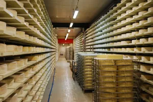 Die Milch- und Käseproduktion ist der wichtigste Betriebszweig des Tessins. Doch dieser Sektor befindet sich in einer äusserst schwierigen Übergangsphase, wie der Tessiner Landwirtschaftsminister sagt. Hier ein Käselager in Caseificio del Gottardo in Airolo.