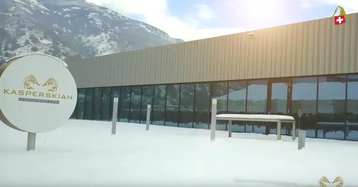 479acf39964cd1d3c9c2f6fca42b1e0b63cdf215 Die Kaviarfarm verzeichnete zu geringen Umsatz. (Bild Screenshot Youtube/Kasperskian)