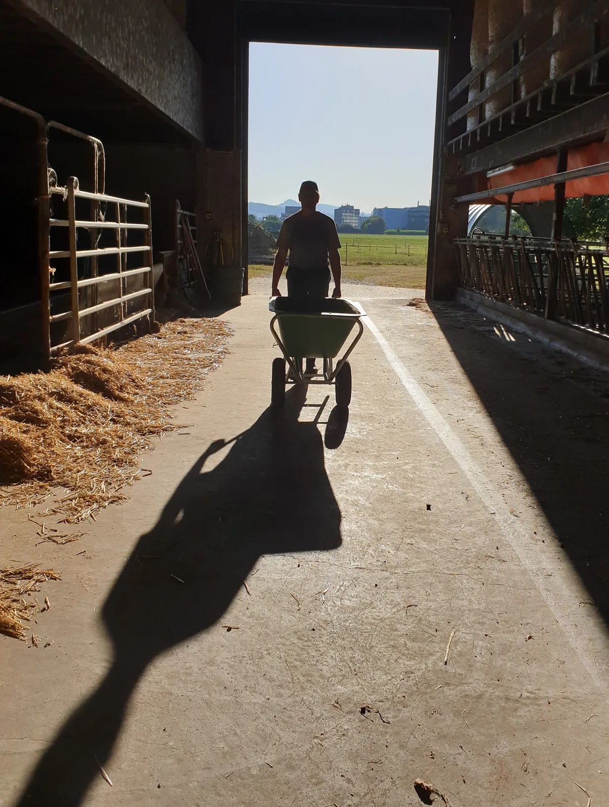 Lange Arbeitstage werfen lange Schatten: Psychische Überlastung gehört für viele Menschen in der Landwirtschaft zum Alltag, bleibt aber oft ein blinder Fleck.