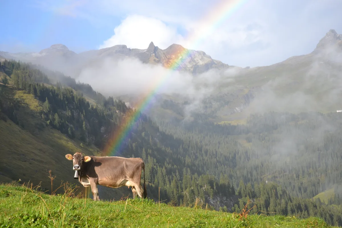 BZ-MAG2-17-Wetter Wüstes Wetter wird die Lager füllen