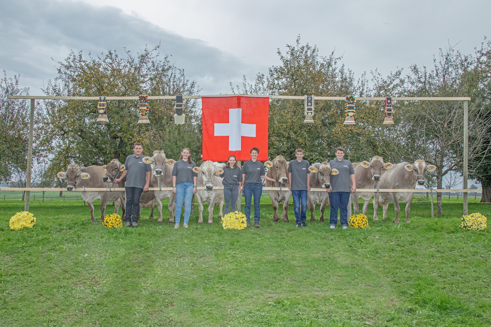 Familie Scherrer hat gleich acht Brown-Swiss-Kühe mit über 100'000 kg Lebensleistung im Stall