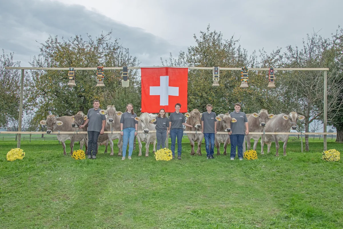 Familie Scherrer hat gleich acht Brown-Swiss-Kühe mit über 100'000 kg Lebensleistung im Stall