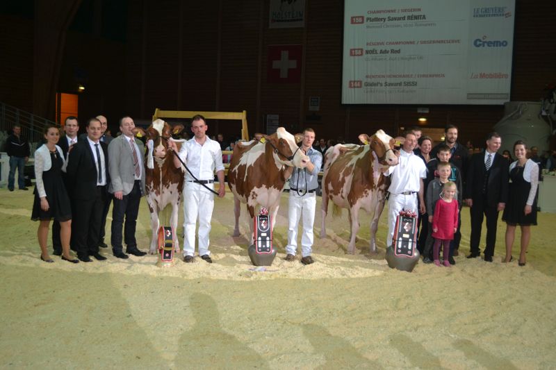 Senior Champion (rechts): Plattery Savard Rénita, Christian Menoud, Romanens / Reserve Senior Champion (Mitte): Noel Advent Red, GS Alliance, Bürglen / Mention Honorable (links): Güdel's Savard Sissi, Fritz Güdel, Kaltacker