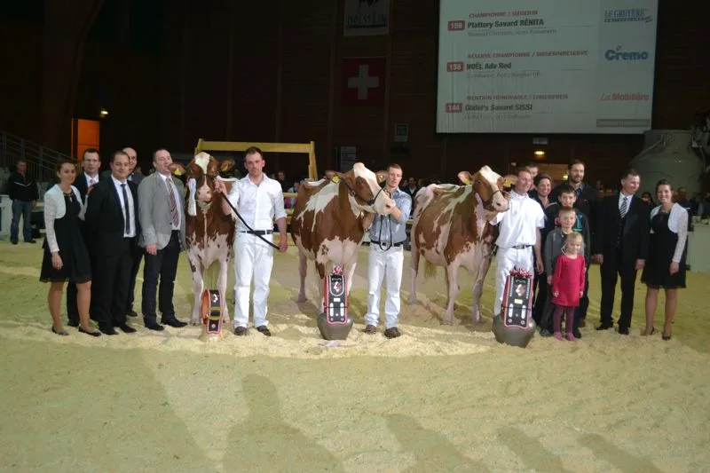 612ad815602c3f347da173b46567030b313767e6 Senior Champion (rechts): Plattery Savard Rénita, Christian Menoud, Romanens / Reserve Senior Champion (Mitte): Noel Advent Red, GS Alliance, Bürglen / Mention Honorable (links): Güdel's Savard Sissi, Fritz Güdel, Kaltacker