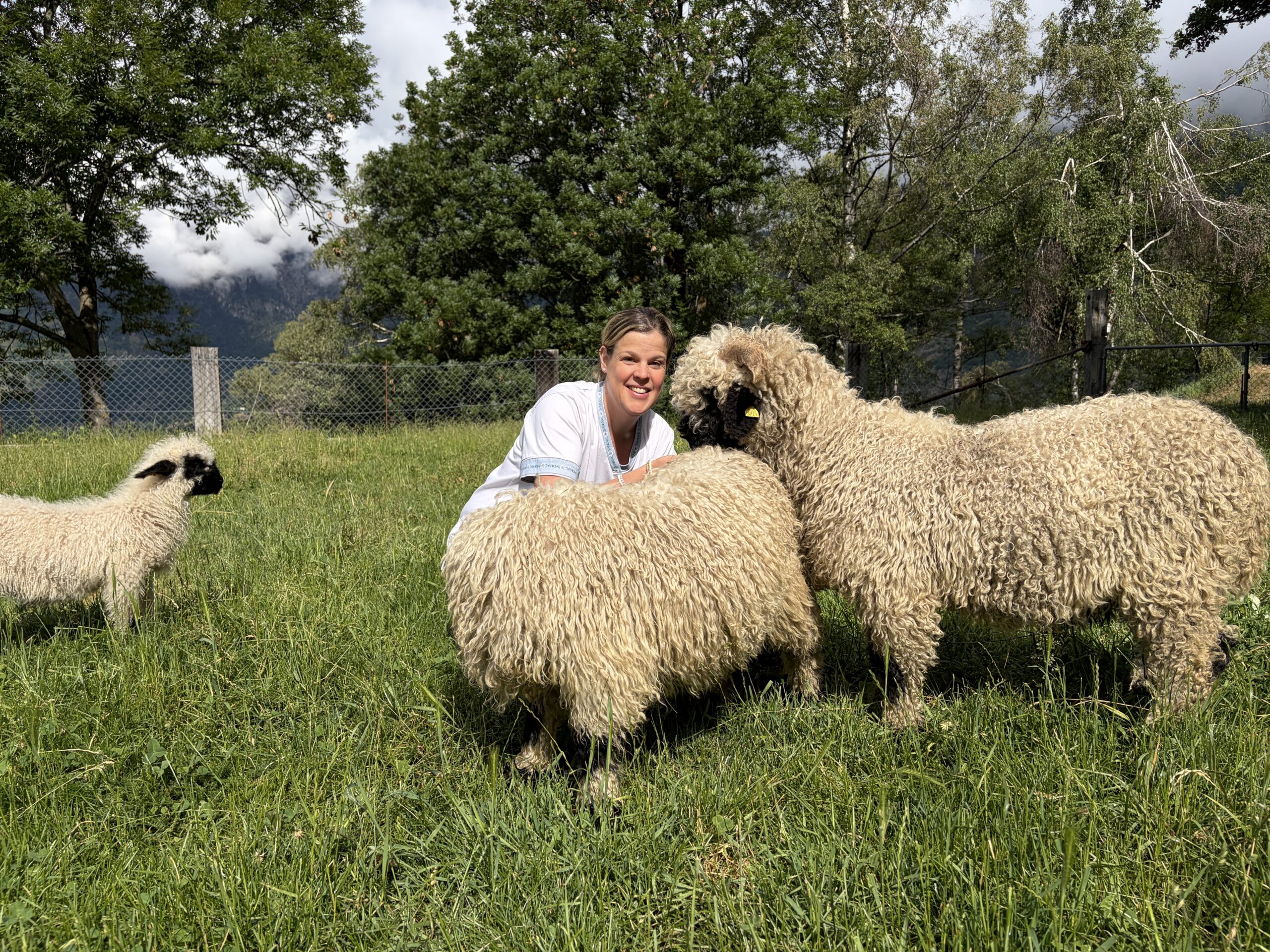 Alya Bärtschi mit den Widdern ihrer Herde von Schwarznasenschafen. Sie bleiben auch im Sommer auf ihrer Weide oberhalb von Termen.