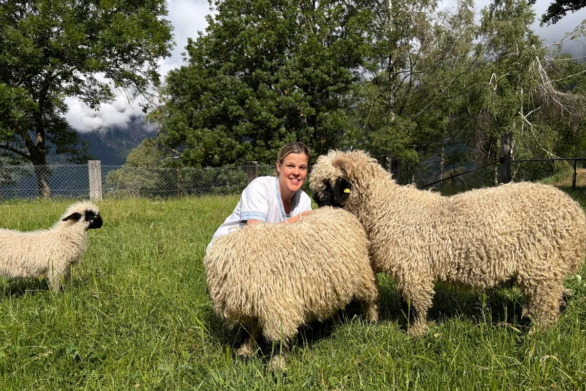 Weide-2 Alya Bärtschi mit den Widdern ihrer Herde von Schwarznasenschafen. Sie bleiben auch im Sommer auf ihrer Weide oberhalb von Termen.