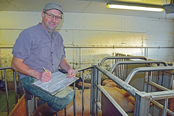 Mit 128 Muttersauen kann sich Peter Bühlmann nicht über mangelnde Arbeit beklagen. (Bild Peter Fankhauser)