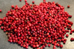 Preiselbeeren (Bild) und Bärlauch können offenbar einen positiven Einfluss auf die Darmgesundheit von Schweine haben, wie ein dänisches Forschungsprojekt zeigt. (Bild Pixabay)