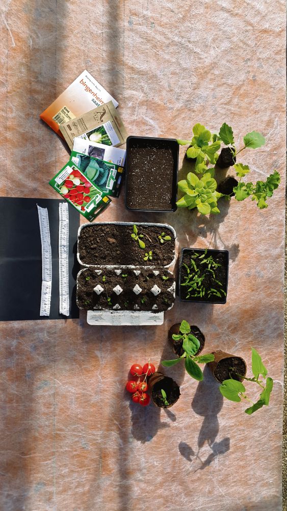 Gut vorbereitet in die Gartensaison: Im Handel ist eine Vielzahl an Aussaatmaterialien erhältlich. Gerade bei den Gefässen kann aber auch improvisiert werden, beispielsweise mit Jogurtbechern oder Eierkartons. (Bild Carole Kündig)
