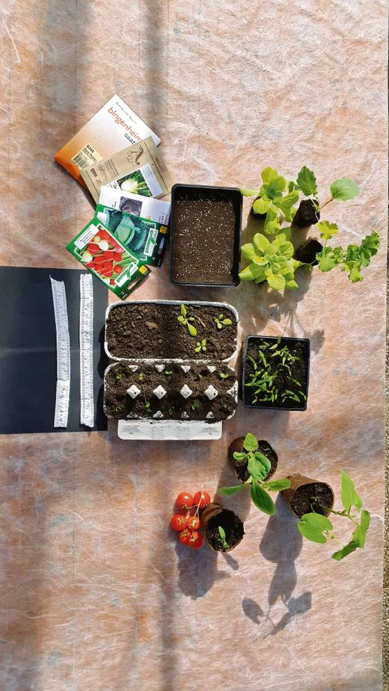98fbce25f82c15a0c8eb4aa1a079a4b39445cd8c Gut vorbereitet in die Gartensaison: Im Handel ist eine Vielzahl an Aussaatmaterialien erhältlich. Gerade bei den Gefässen kann aber auch improvisiert werden, beispielsweise mit Jogurtbechern oder Eierkartons. (Bild Carole Kündig)