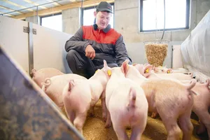 Kaspar Sigrist im neuen Schweinestall, wo emissionsmindernde und tierfreundliche Stallkonzepte realisiert wurden.