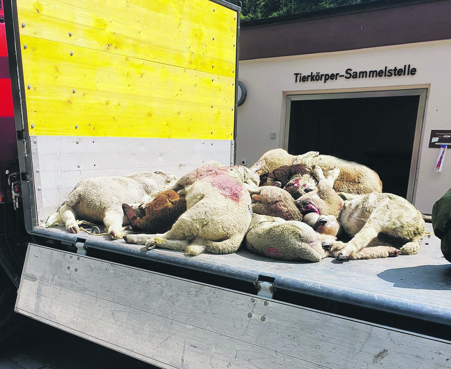 Kommt es zu einem Riss, hilft die Wolfswehr