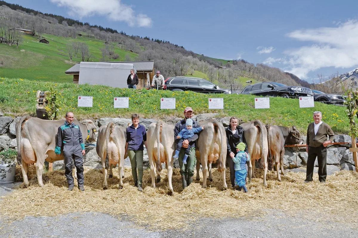 9b567d345278585113afa79fd778423a2aa763f6 Diese erstklassige A-Zuchtfamilie mit Stammkuh Bianca von Familie Elmer-Elmer wurde mit 92 Punkten bewertet. (Bilder Barbara Bäuerle-Rhyner)