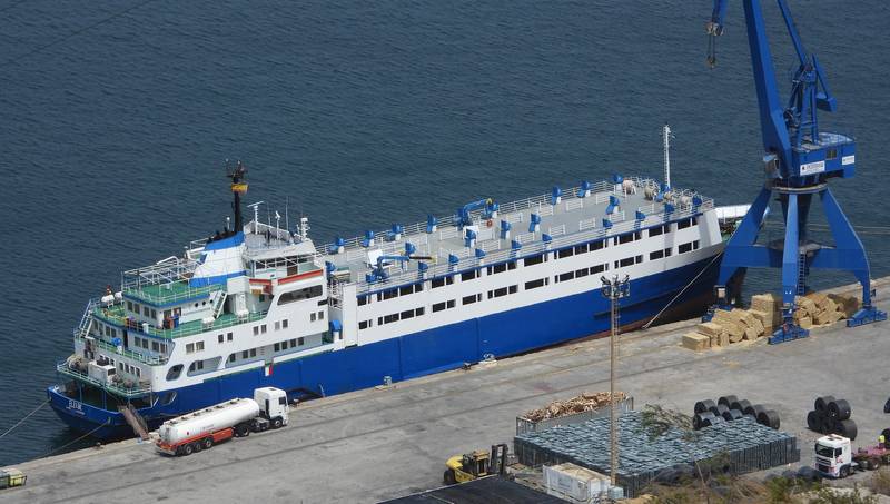Die Animal Welfare Foundation arbeitet daran, die Rinder vom Frachtschiff Elbeik zu befreien. Über 1000 Rinder waren Ende letzten Jahres an Bord des Frachters genommen worden. (Bild Animal Welfare Foundation)
