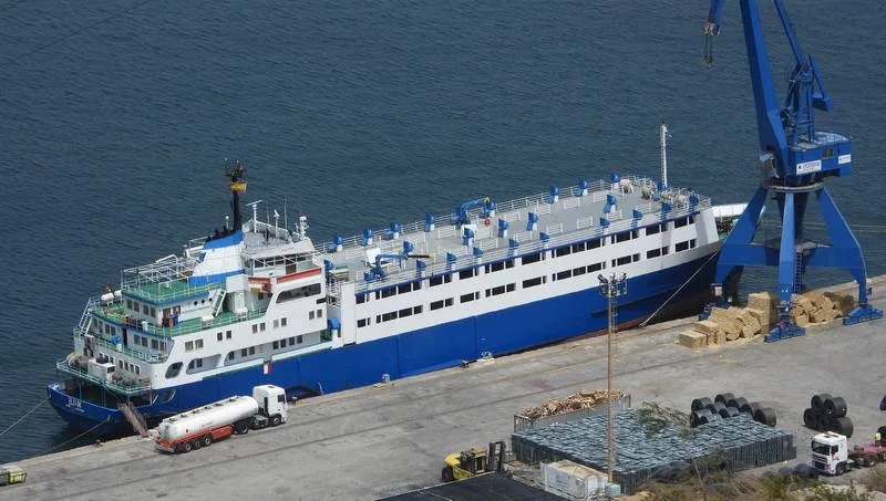 b7ef39215fc83ff322ca67b5790eb793c2d3932d Die Animal Welfare Foundation arbeitet daran, die Rinder vom Frachtschiff Elbeik zu befreien. Über 1000 Rinder waren Ende letzten Jahres an Bord des Frachters genommen worden. (Bild Animal Welfare Foundation)