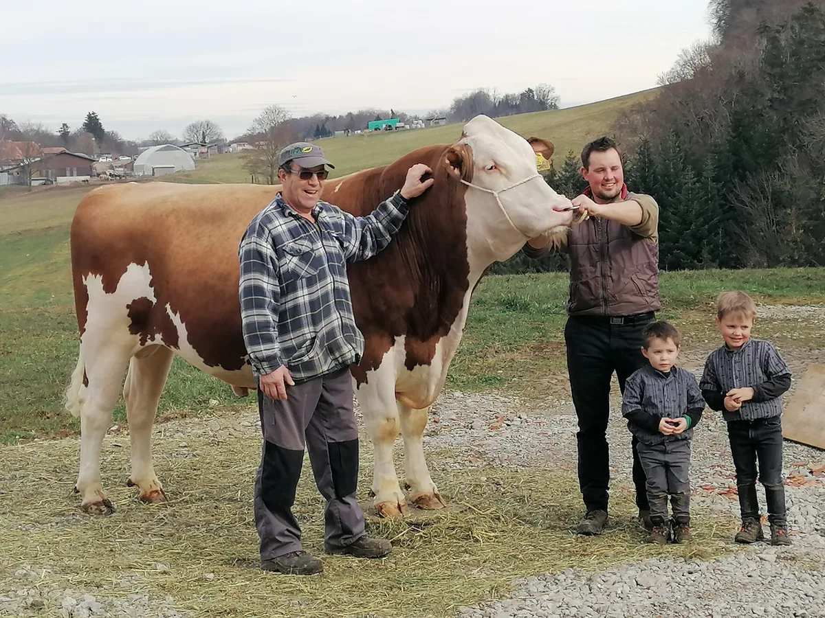 f291093af9fe84f7827bbb0e4e78f4593f7efb17 Der Stier Swat präsentiert sich mit den BZG-Partnern Heinz Herren (links) und Simon Zahnd sowie dessen beiden Söhnen. (Bild Familie Zahnd)